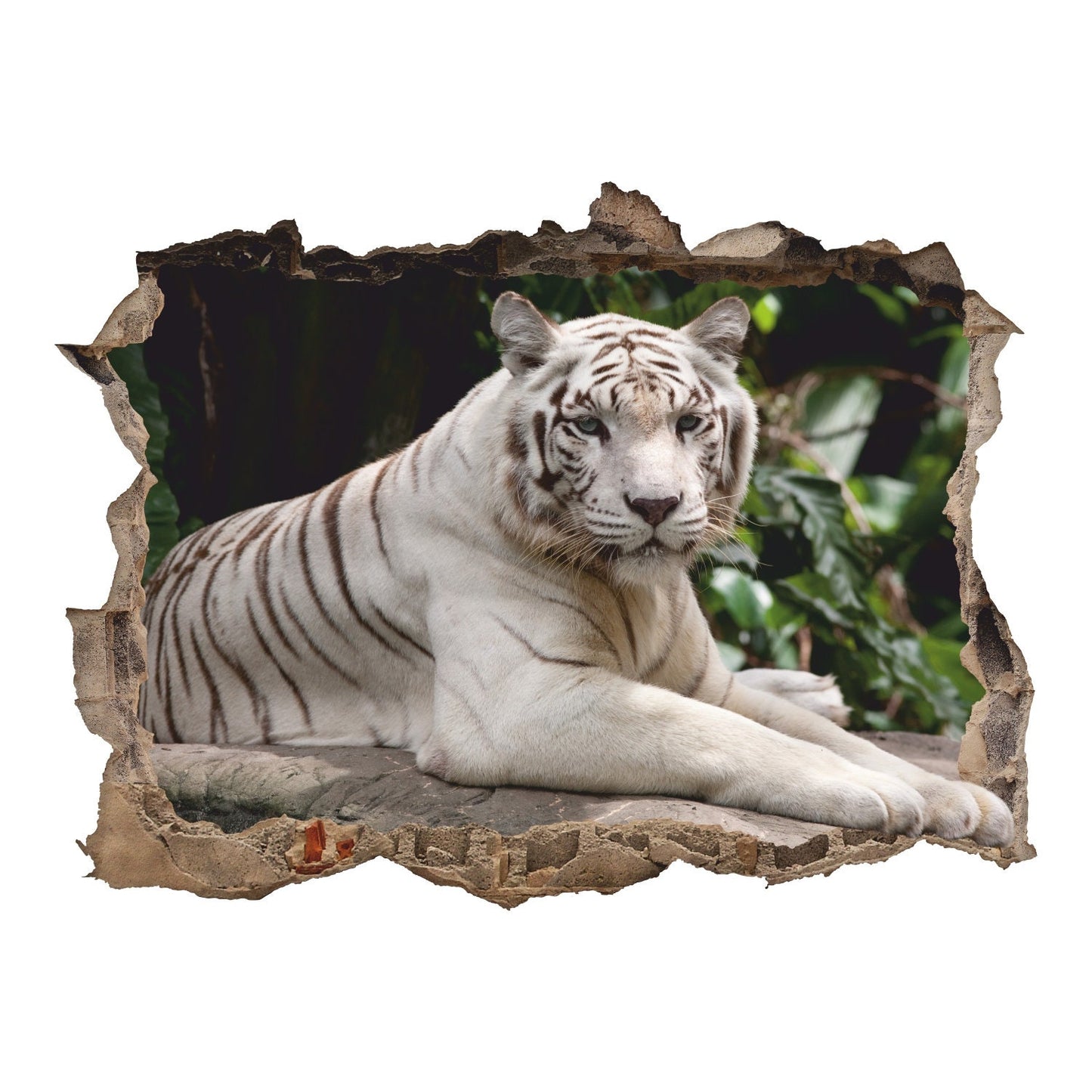 White Tiger Wall Decal, Wildlife Wall Sticker, Animals, Wall Tattoo, Wall Art, Decor