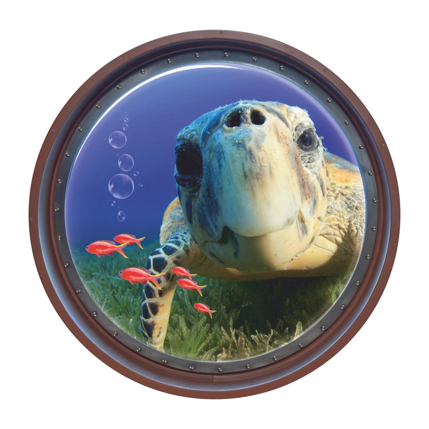 Turtle Wall Decal, Ocean Wall Sticker, Porthole, Wall Tattoo, Wall Art, Decor