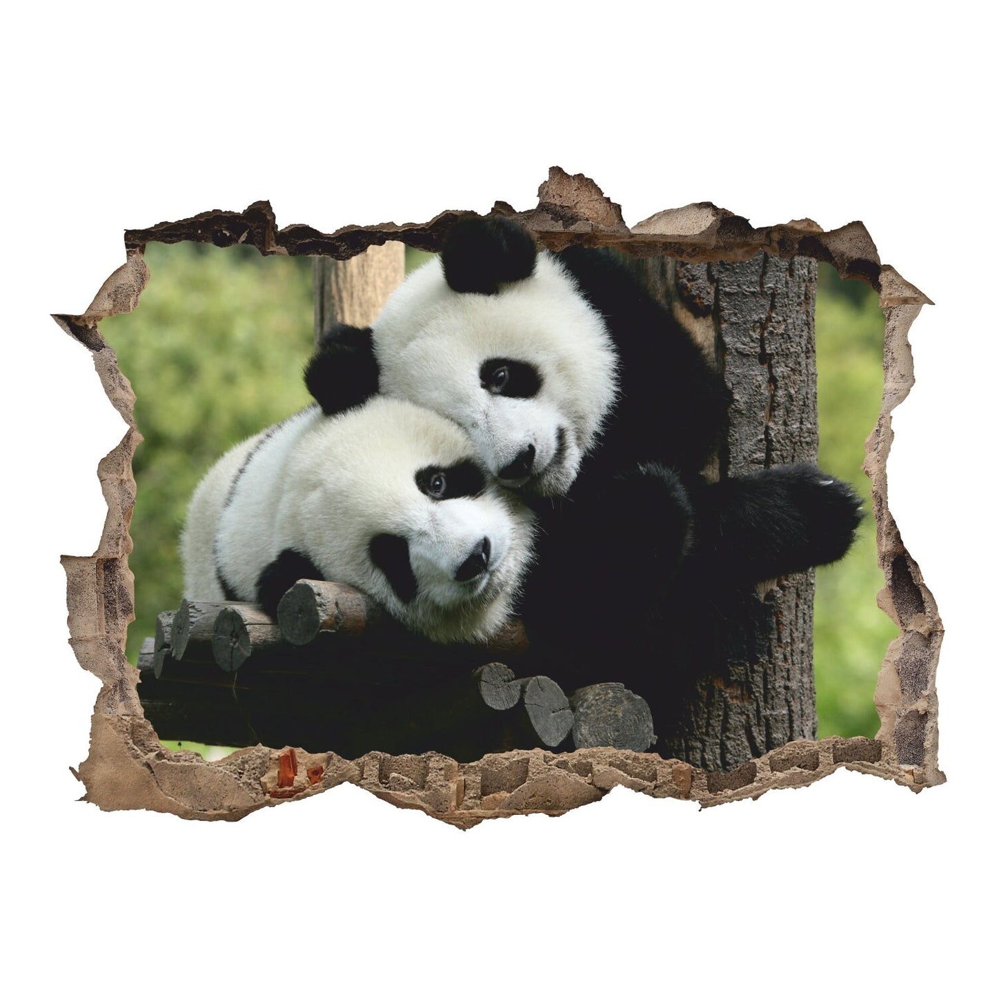 Pandas Wall Decal, Wildlife Wall Sticker, Animals, Wall Tattoo, Wall Art, Decor