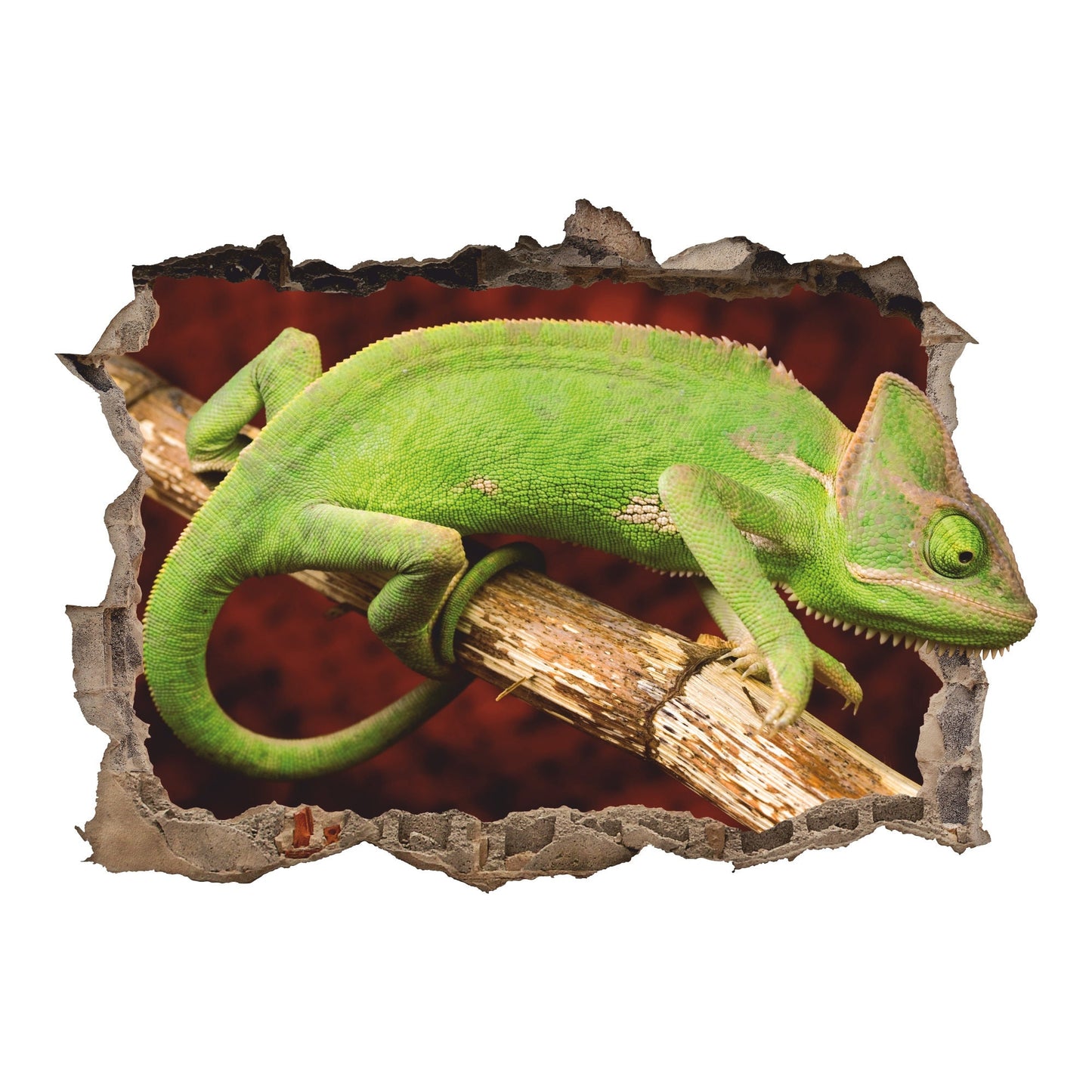 Chameleon Wall Decal, Lizard Wall Sticker, Animals, Wildlife, Wall Tattoo, Wall Art, Decor